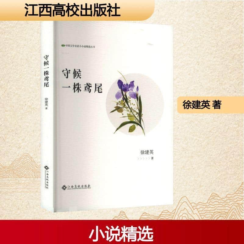守候一株鸢尾