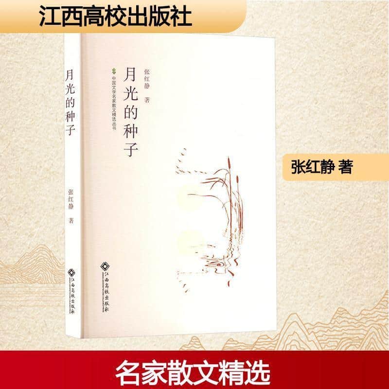 月光的种子