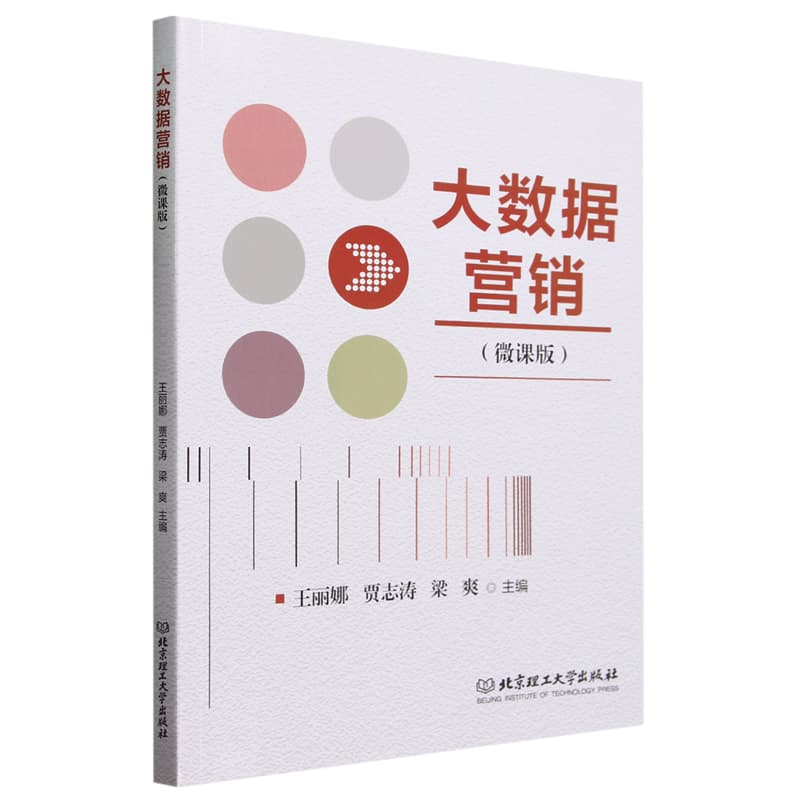 大数据营销——微课版