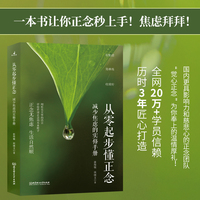 从零起步懂正念——减少焦虑的实修手册