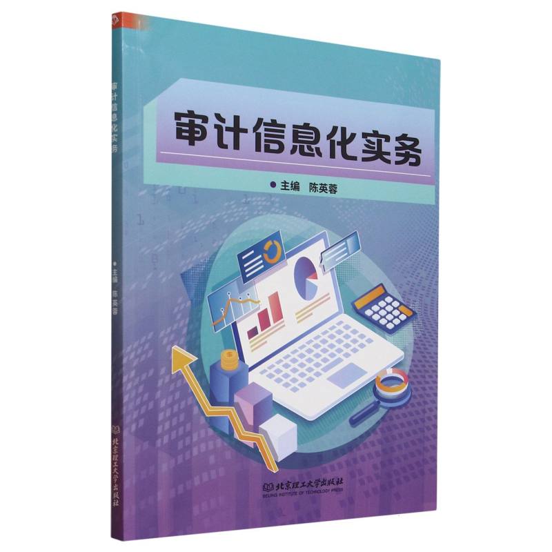 审计信息化实务