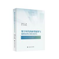 数字时代的新型犯罪与犯罪法律后果体系研究