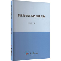 多重劳动关系的法律规制