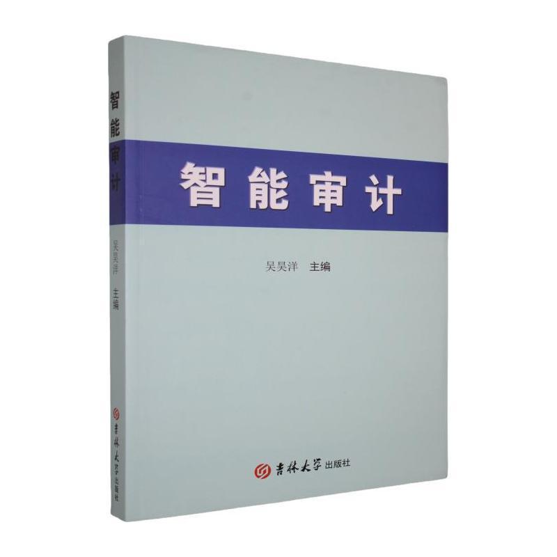 智能审计
