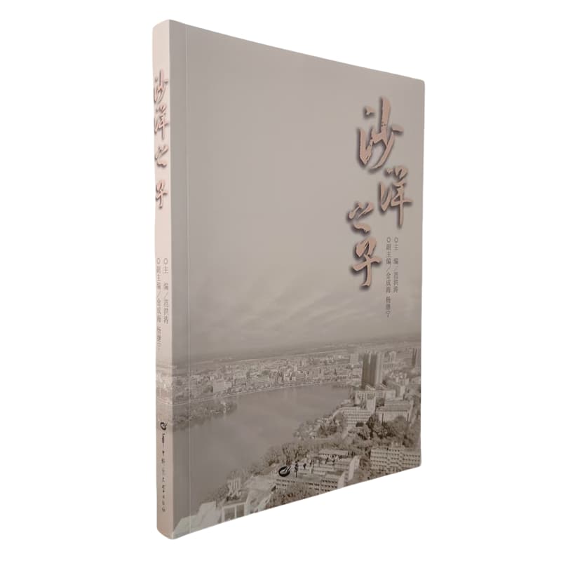 沙洋之子