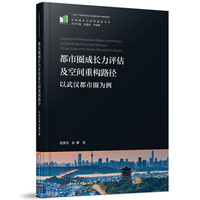 都市圈成长力评估及空间重构路径：以武汉城市圈为例