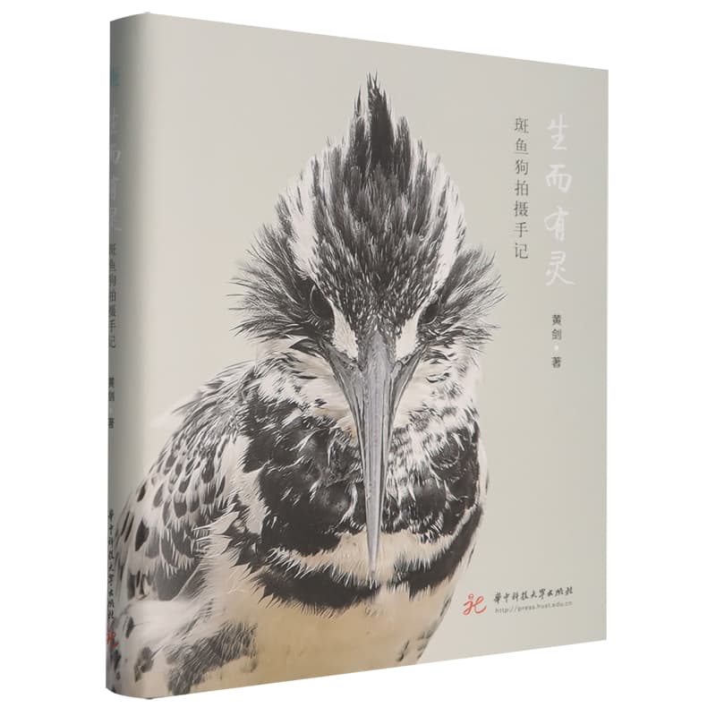 生而有灵——斑鱼狗拍摄手记