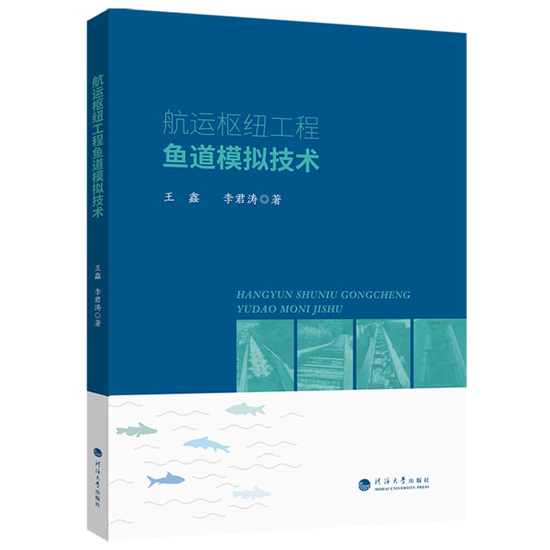 航运枢纽工程鱼道模拟技术
