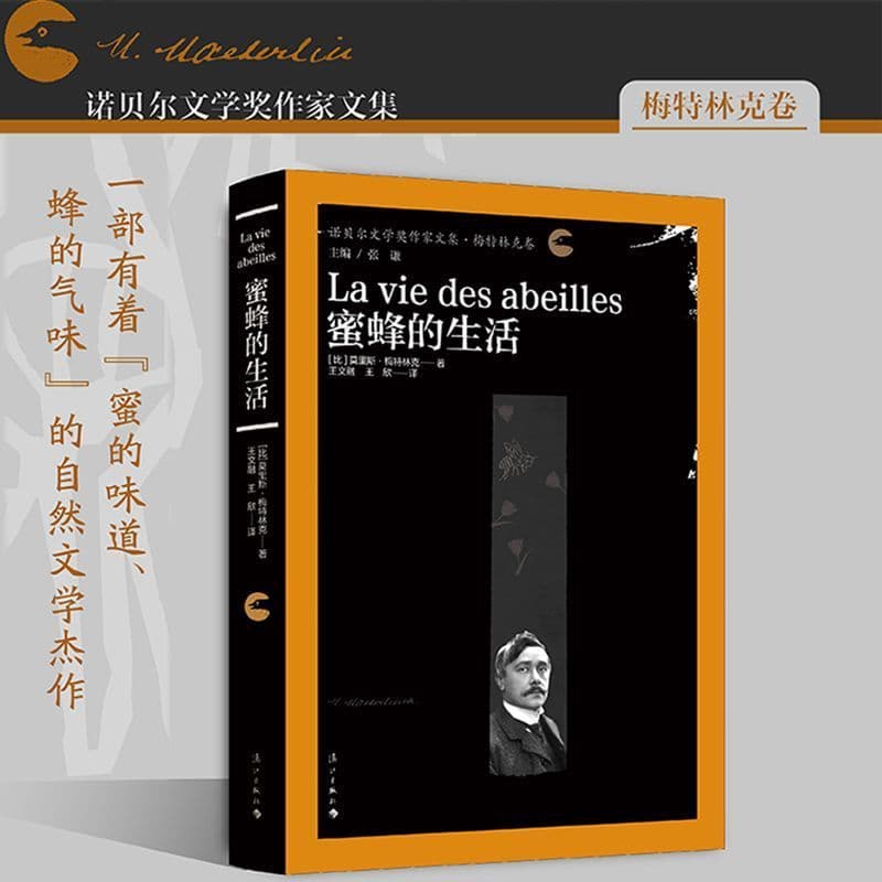 蜜蜂的生活